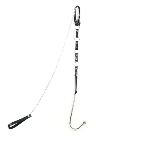 Anal with Collar 5853 EverydayUse Leash and Kinky Hook 0706